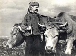 ФОТОИСКУССТВО С. А. Хабибулин. Пионеры помогают колхозам вывозить свеклу. 1947 г. ТОКМ.