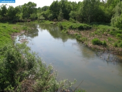 РАЗАЗОВКА (Река Разазовка у с. Хлыстово Моршанского района)